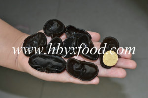 Chinese Dry Black Fungus with Nice Package Box